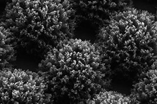 南充南充蔡司显微镜